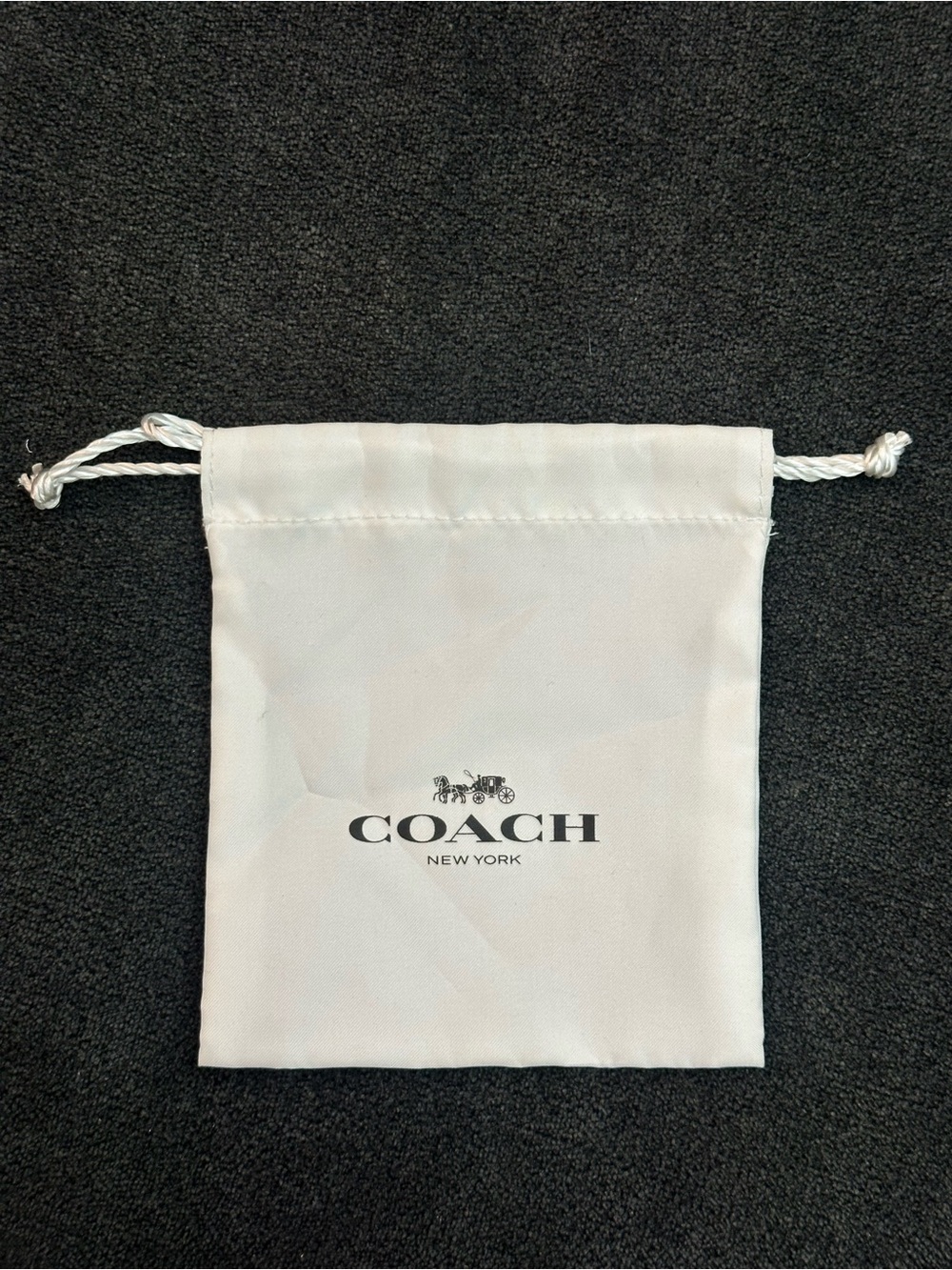 Coach Jewelry Bag